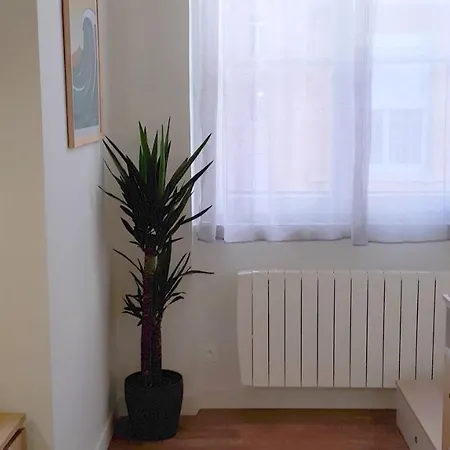 Apartment My Little Canut - Charmant Duplex Au Coeur De La Croix Rousse *