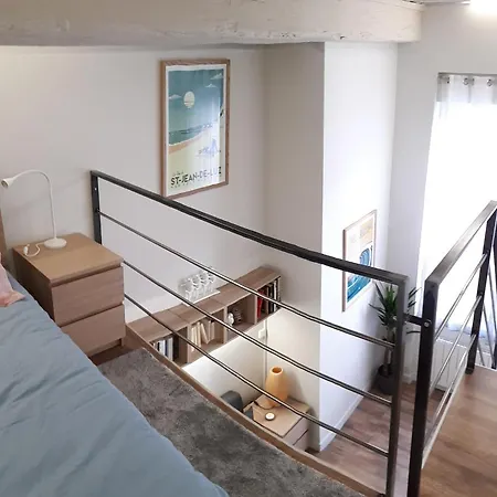 My Little Canut - Charmant Duplex Au Coeur De La Croix Rousse Apartment